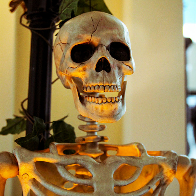Skeleton Plastic