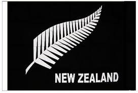 Flag New Zealand Silver Fern Cloth