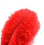Feathers Ostrich Red Assorted Sizes