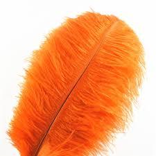 Feathers Ostrich Orange Assorted Sizes