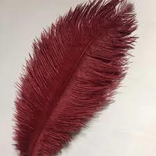 Feathers Ostrich Maroon Assorted Sizes