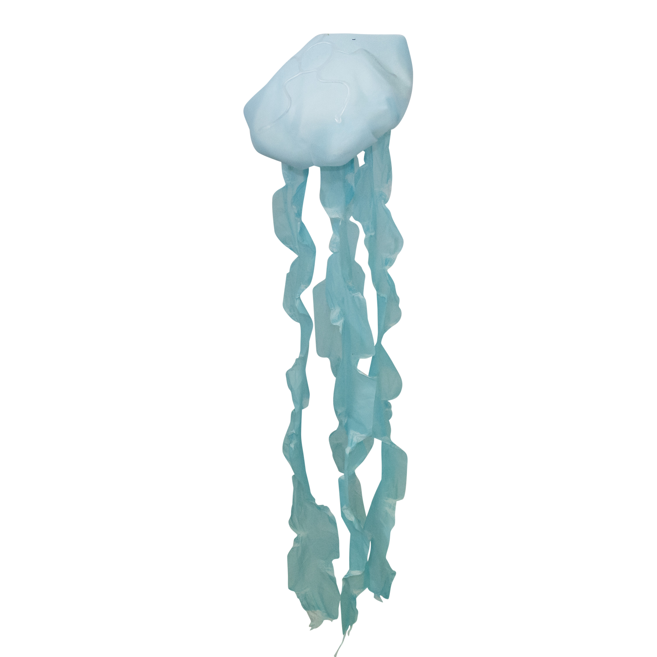 Jellyfish Plastic Teal