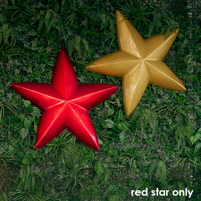 Star 3D 5 Point Single Sided Resin Red