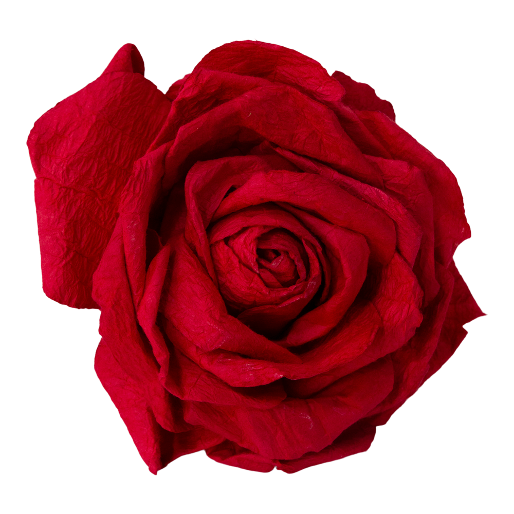 Floral Paper Roses Oversize Red