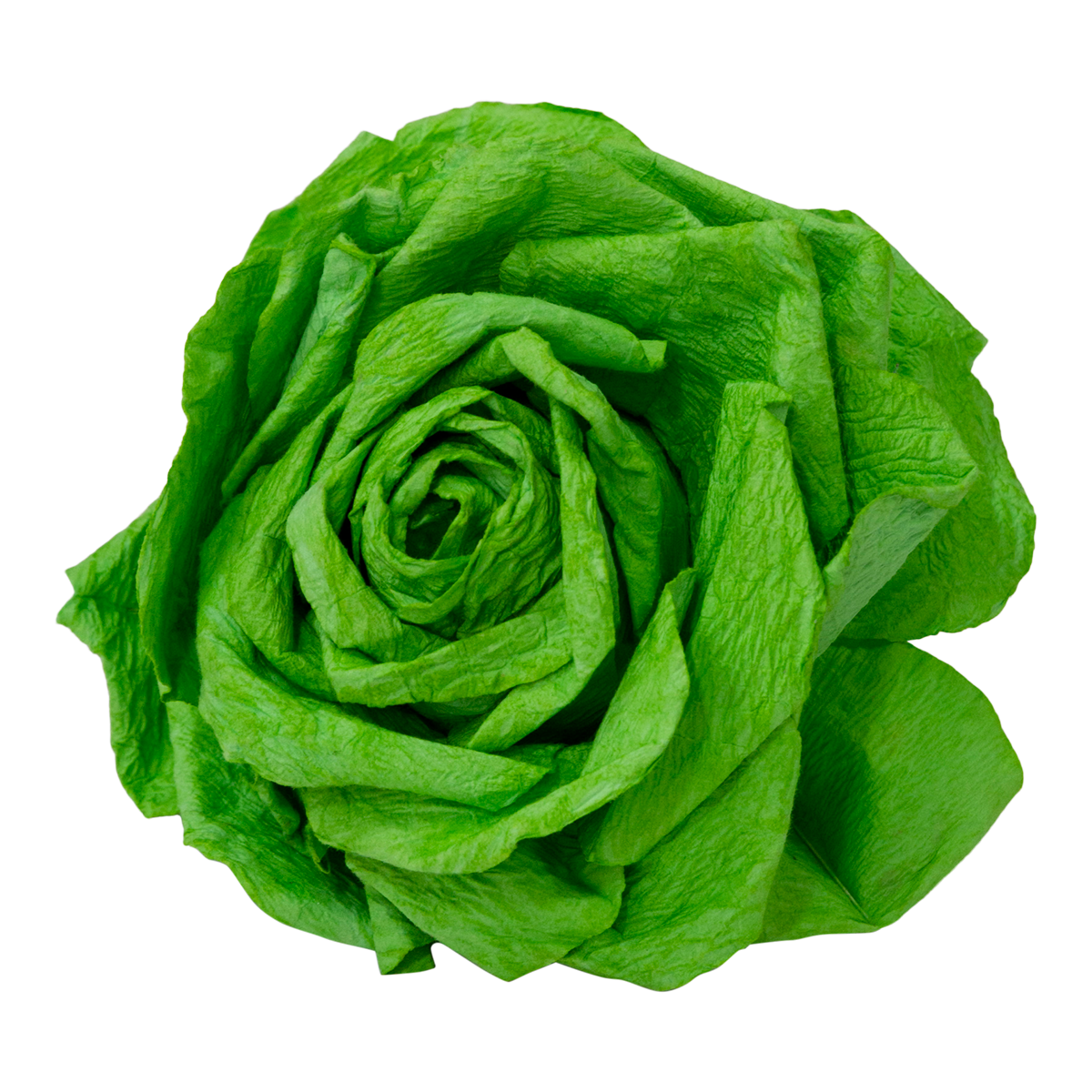Floral Paper Roses Oversized Green