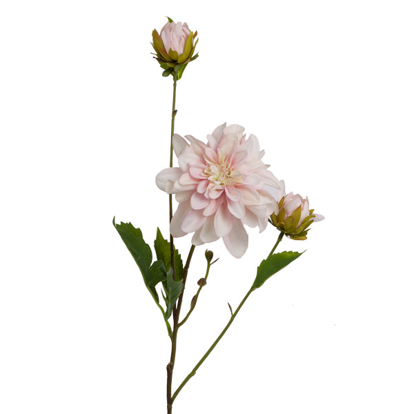 Floral Dahlia Light Pink