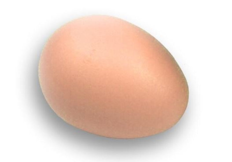 Faux Eggs Natural x 8cmL