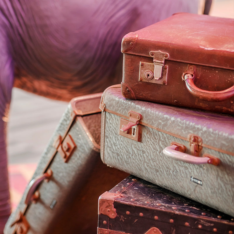Luggage Suitcase Small Sizes 17cm to 30cm