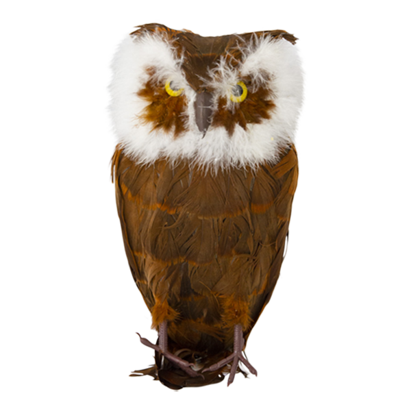 Bird Owl Brown & White