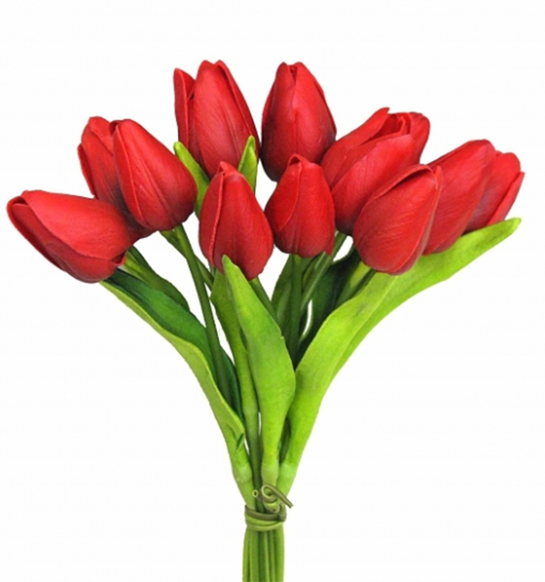 Floral Tulips Bunches Red