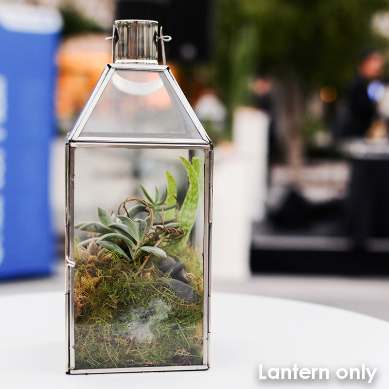 Lantern Stainless Steel & Glass