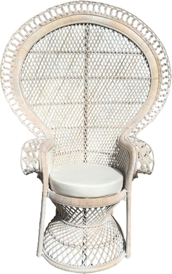 Chair Peacock White with Cushion