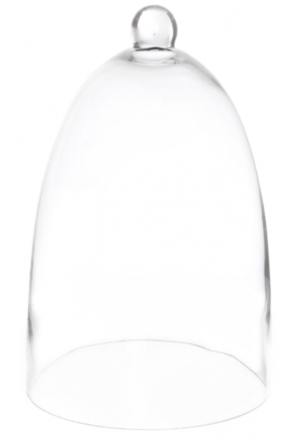 Glass Terrarium Cloche Bell