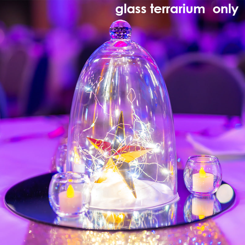 Glass Terrarium Cloche Bell