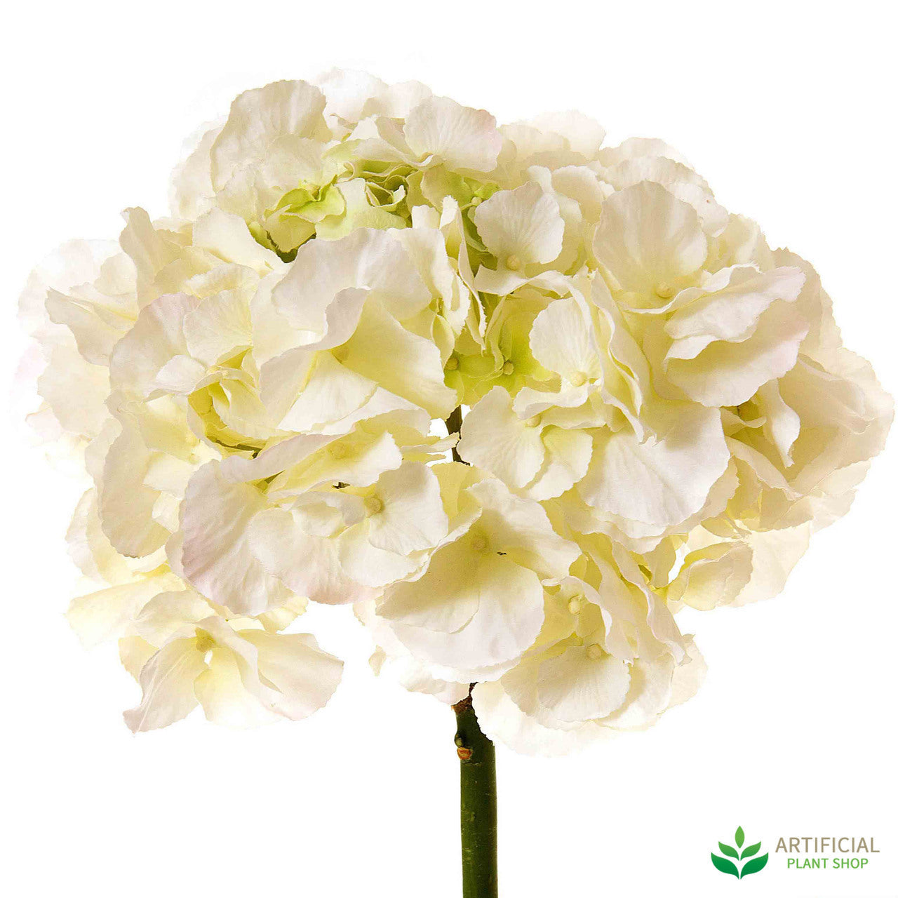 Floral Hydrangea White