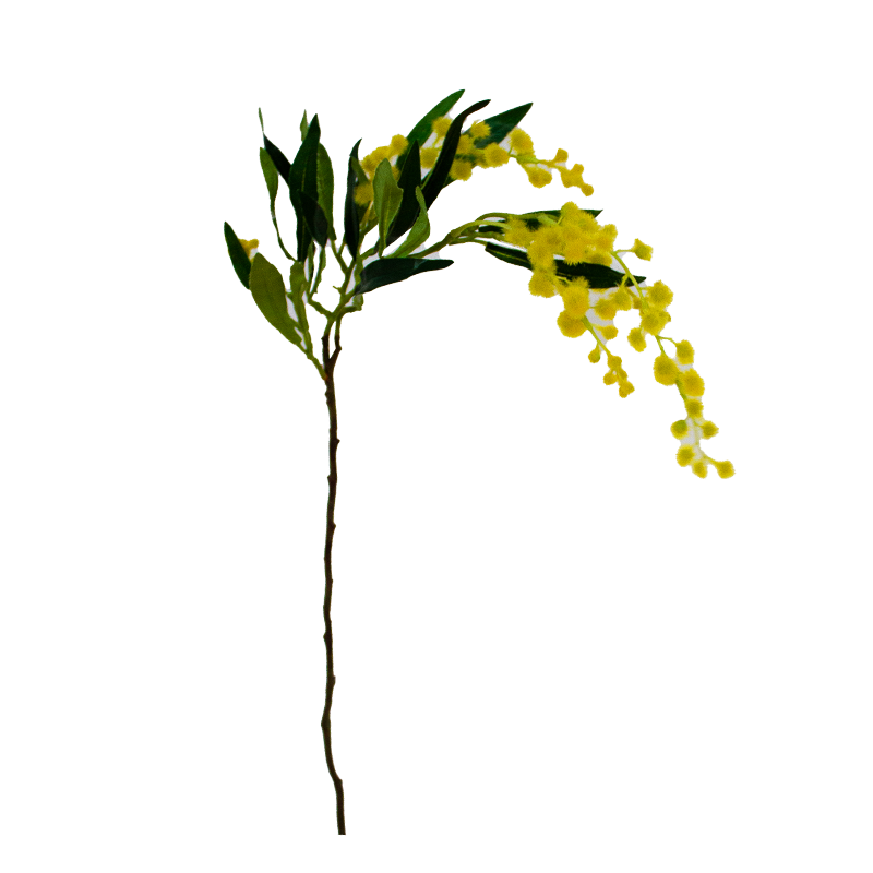 Floral Native Wattle Yellow Realistic Leaves