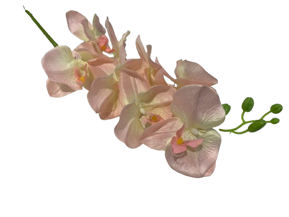 Floral Orchid Light Pink