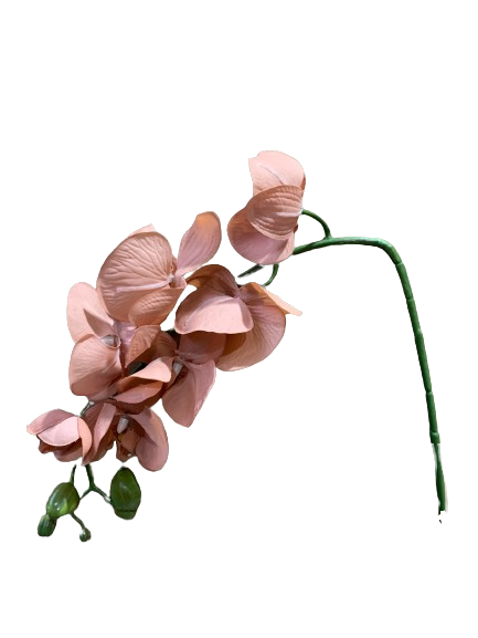 Floral Orchid Blush Pink