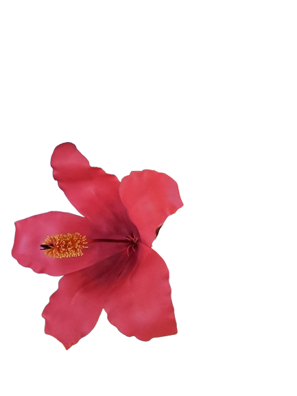 Hibiscus Flower Foam Red